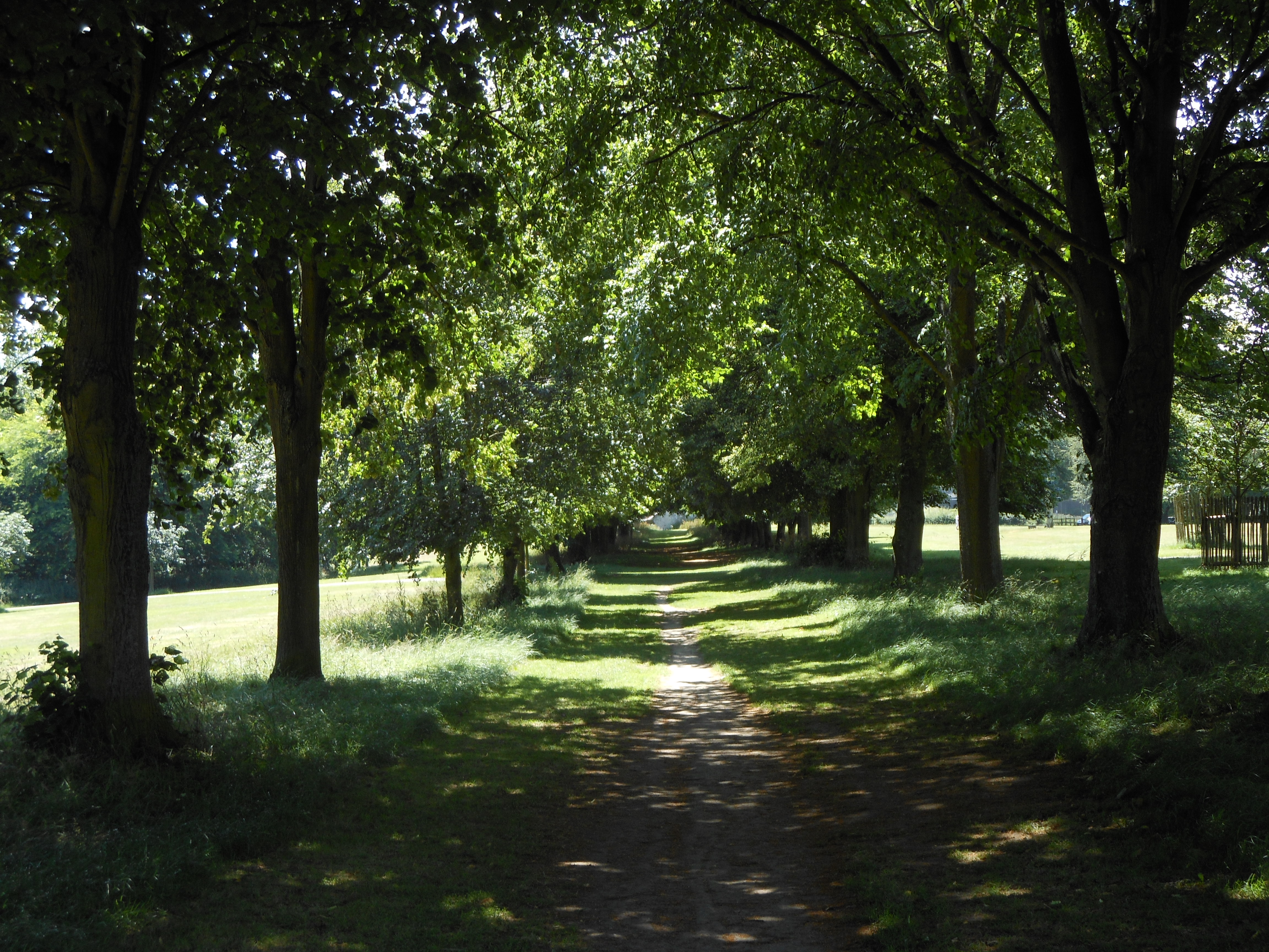 Well Dressings Bakewell